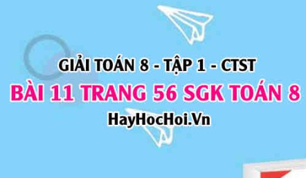 Giải bài 11 trang 56 Toán 8 Tập 1 SGK Chân trời sáng tạo